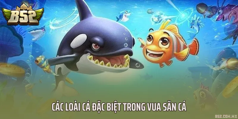 Các loài cá đặc biệt trong vua săn cá