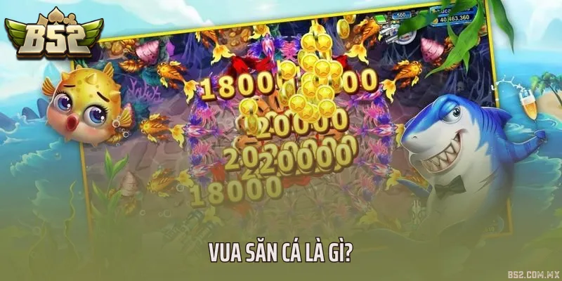 Vua săn cá là gì?